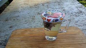 Цветы сирени Лекарственные растения Как приготовить