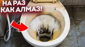 Не Переплачивайте! Тест 5 Чистящих Средств для Унитаза: Цена vs. Качество