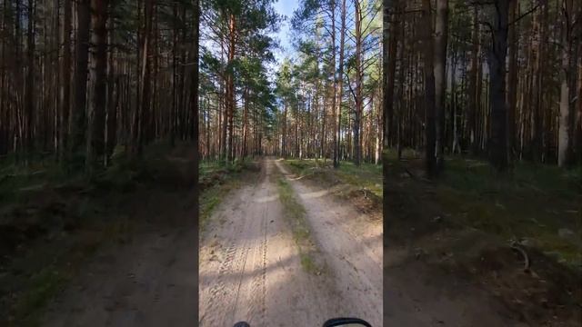 Покатушка на Кщару и Юхор на фэтбайке смотреть онлайн