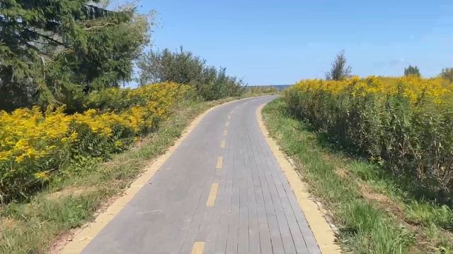 Каникулы в Пионерском | балтийское море, свежие сплетн смотреть онлайн