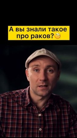А вы знали?