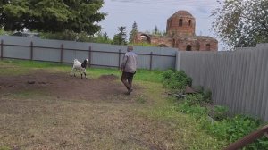 Все по расписанию.