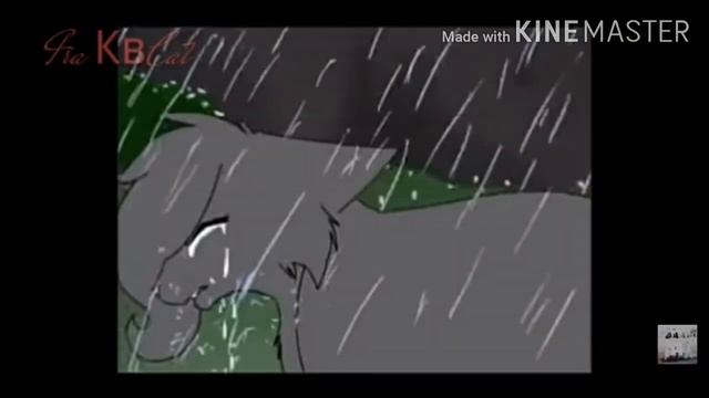 Коты воители разбитое зеркало