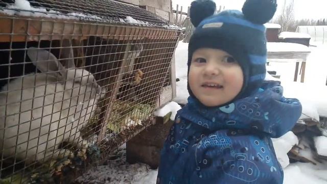 Кормим кроликов снегом смотреть онлайн