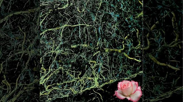 Дмитрий Гревцев - Туман и розы смотреть онлайн