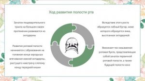 Жаберные дуги и их производные. Развитие лица и полости рта