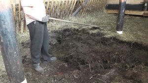 Как без нагрузки на спину вывезти навоз из стойла