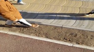 здрасьте забор покрасьте