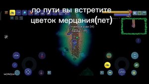 гайд на амулет лавы в Terraria