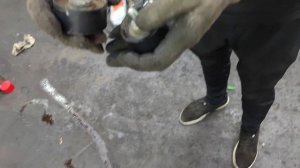 Lada Xray - на пробеге 95700 км заменили ремень ГРМ