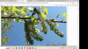 Сессия: как родовые программы влияют на нашу жизнь