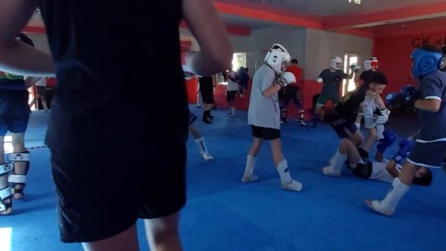 Всестилевое каратэ сборы Анапа-Воронеж смотреть онлайн