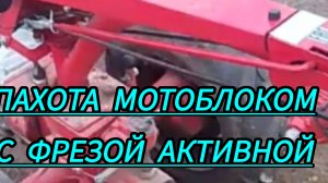 Мотоблок МТЗ с активной  фрезой пахота земли