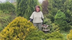 НАША ПЛАНТАЦИЯ В МАЕ Часть 1