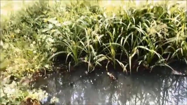 Большая перемена смотреть онлайн