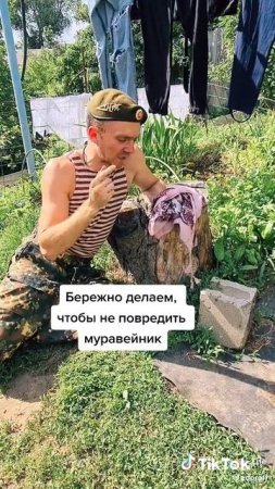 Помощь в лесу