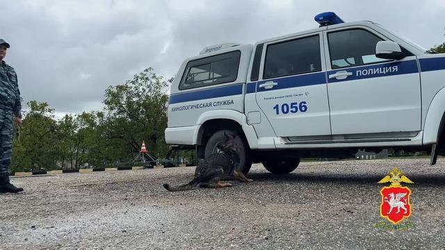 В гостях у Центра кинологической службы МВД по Республике Крым