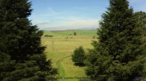 Лес, грязь под колёсами и ритм, который не даёт остановиться! - Pives And Flarinet -- Podington Bear