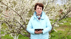 3525. Хлеб на каждый день  22 мая  Псалом 82:13