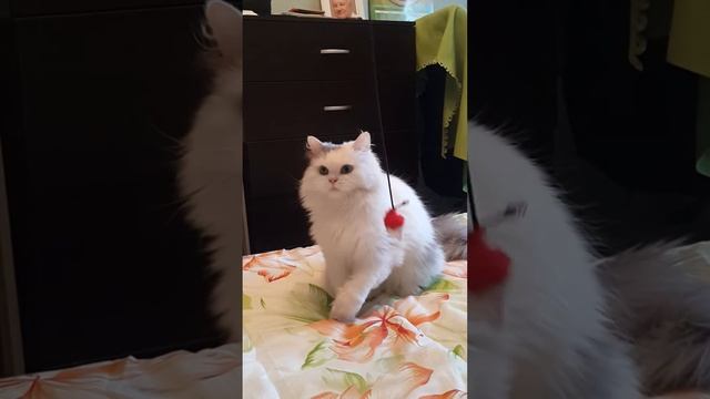 Поля на диване -2 смотреть онлайн