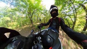 Прокатились по лесу на Honda NC750X и Honda Africa Twin 750
