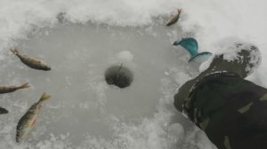 Зимняя Рыбалка