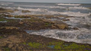 Музыка делает небо ближе и теплее - Astronaut Part2 -- HoliznaCC0 -- An Ocean In Outer Space