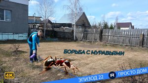 #22 Обработка деревьев, монтаж поликарбоната теплицы