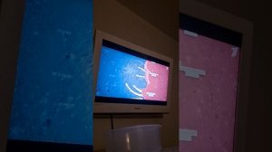 Как СССР освобождал мир от фашизма. Историческая хроника Второй мировой войны