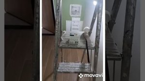 Селективное УЗО: излишняя перестраховка или необходи?