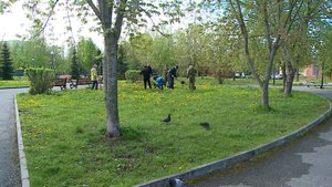 (Рыбинск-40) ОЗЕЛЕНЕНИЕ ПАРКА ФЕЙГИНА