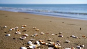 Два берега 13 серия (2024) // Первый канал // Мелодрама // Анонс