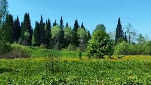 Огоньки от Галины Горно - Алтайск 20.05.25.