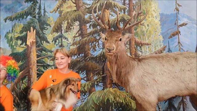 Веселое поздравление с Днем рождения  от милых собачек, кроликов и других зверюшек