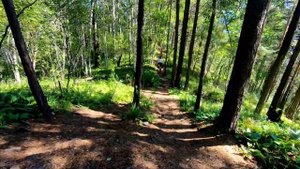 Обзор велосипеда Intense RECLUSE FS PRO 2024 года