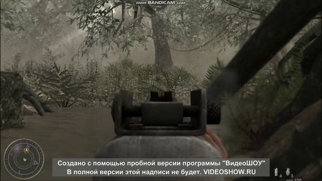 играю в call of duty WAW