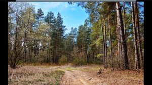 Я вспоминаю свое детство