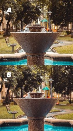 iPhone 13 Pro VS DSLR - Portrait Mode Comparison 📸