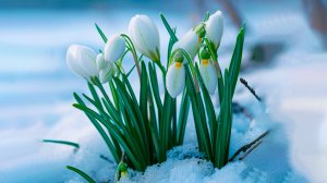 ✨ ОЧИЩЕНИЕ АУРЫ ОТ НЕГАТИВНОЙ ЭНЕРГИИ ЦЕЛЕБНЫМИ ЗВУКАМИ МУЗЫКИ! 🎵 УСПОКАИВАЮЩАЯ МУЗЫКА ДЛЯ СНА