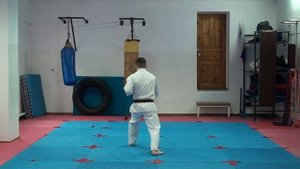 Ката+кихон для сдачи на 8 кю (синий пояс)