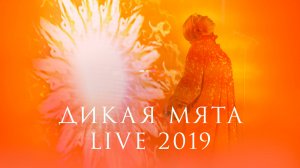 Zventa Sventana – Дикая Мята 2019
