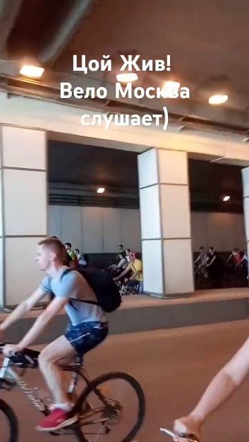 #веломосква #велосипед #велопрогулка #велосипедизация