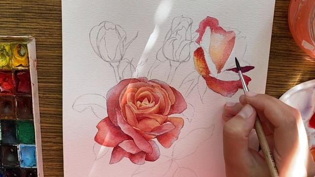 Рисуем вместе розу акварелью. Летние рисунки смотреть онлайн
