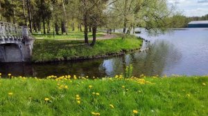 Остров любви Гатчина 20.05.25.