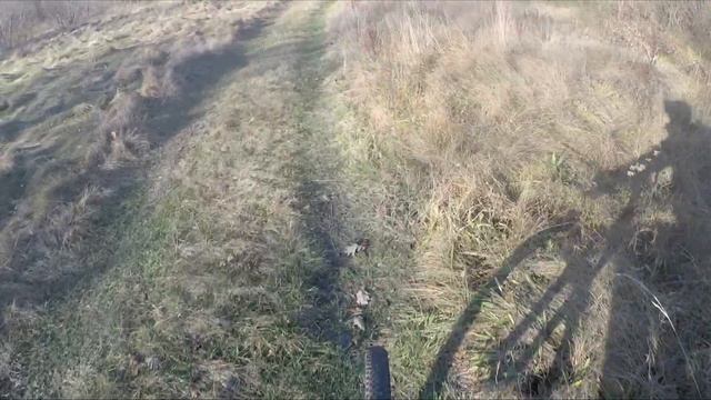 Лесные приключения на велосипеде 3 Покупались с велос