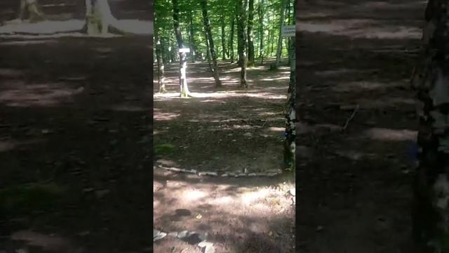 Лабиринт "Путь к СОВЕРШЕНСТВУ" на Мысе Миллениуме.