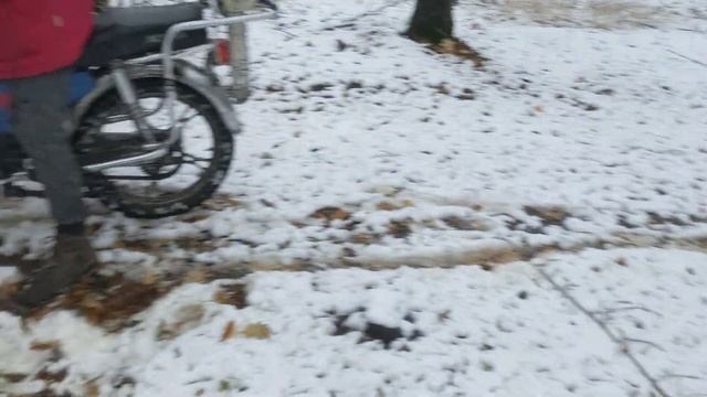 Як я провів 2024 рік на Альфі