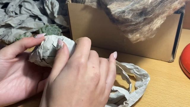 Распаковка суккулентов Китай 🇨🇳 смотреть онлайн