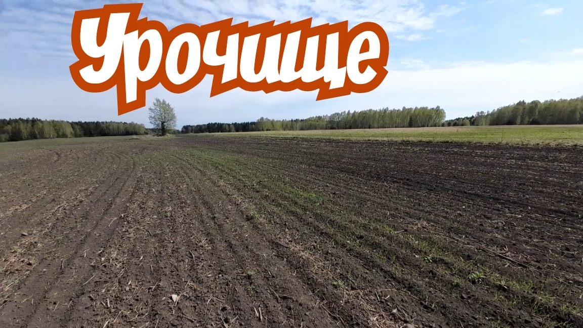 Ищу монеты на старом урочище