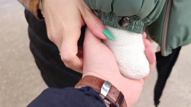 Красная поляна, Роза Хутор, аэропорт Адлера.